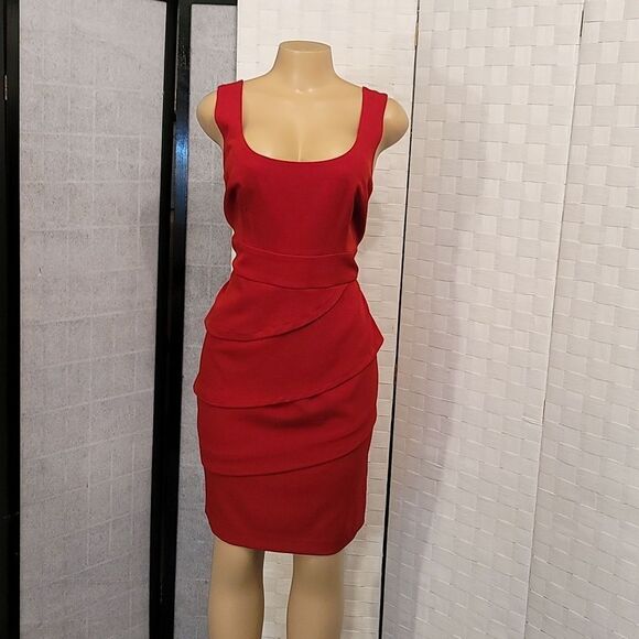 S.L.FASHIONS SLEEVELESS INVIBLE ZIPPER DOWN BACK DRESS - Picture 9 of 16